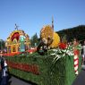 Carnavalul Florilor, Debrecen | 5